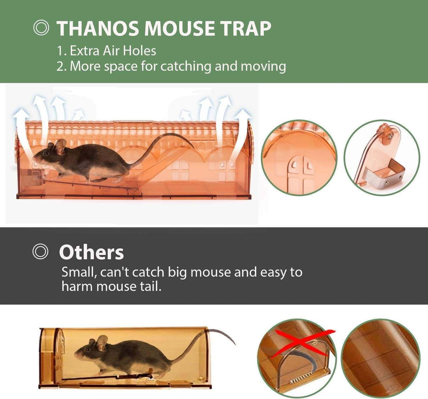 2pack mouse trap Large 10 Inch house mouse trap