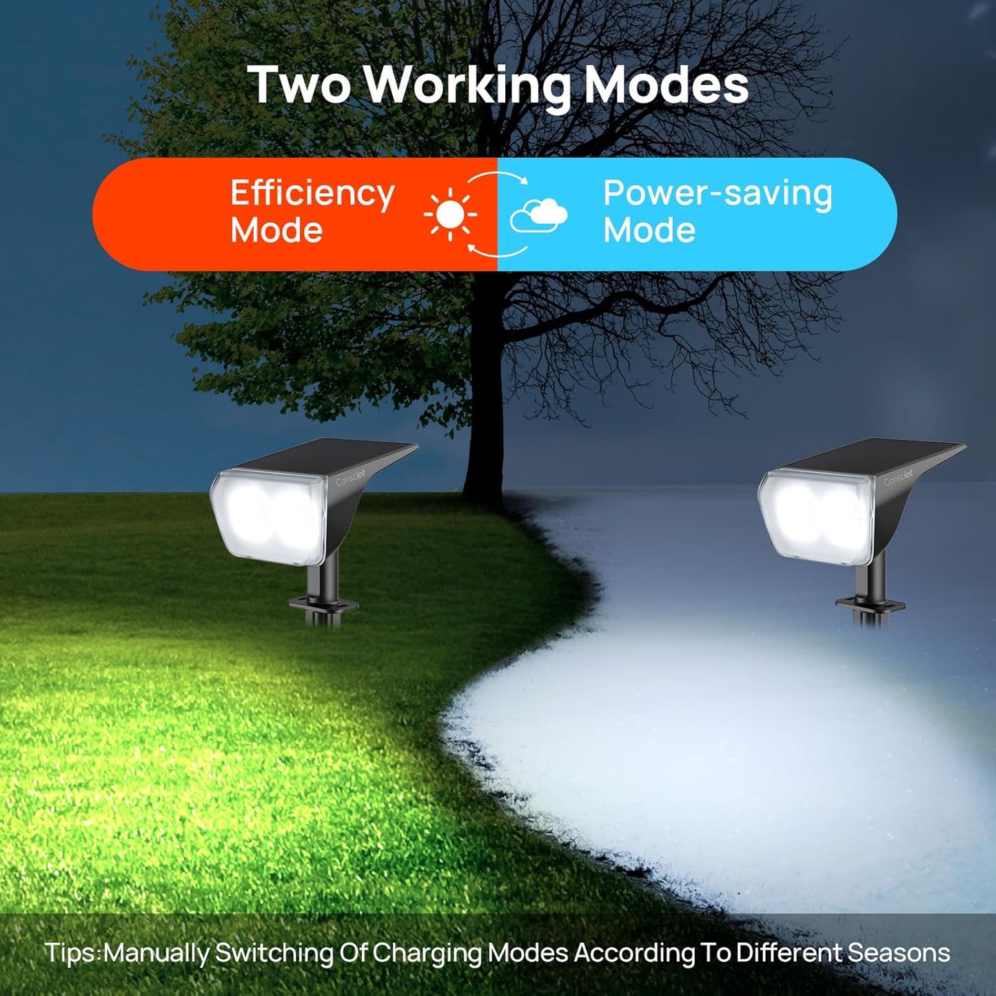 2 Pack-Consciot Solar Spot Lights Outdoor Waterproof, 24 LED Dusk-to-Dawn Solar Outdoor Lights, 2 in 1 Adjustable Wall Lights, Daylight Solar Landscape Spotlights for Garden Yard Wall Walkway,