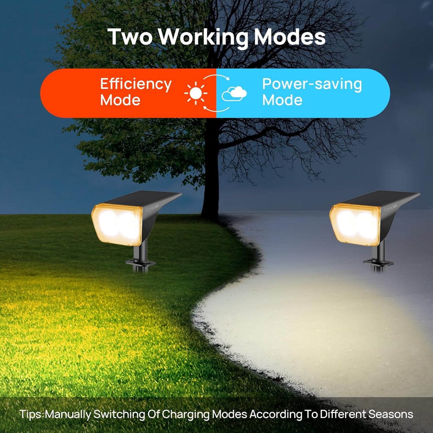 6 pack-Consciot Solar Spot Lights Outdoor Waterproof, 24 LED Dusk-to-Dawn Solar Spotlight, 2 in 1 Adjustable Wall Lights, Warm White Solar Landscape Spotlights for Garden Yard Wall Walkway, 6 Pack