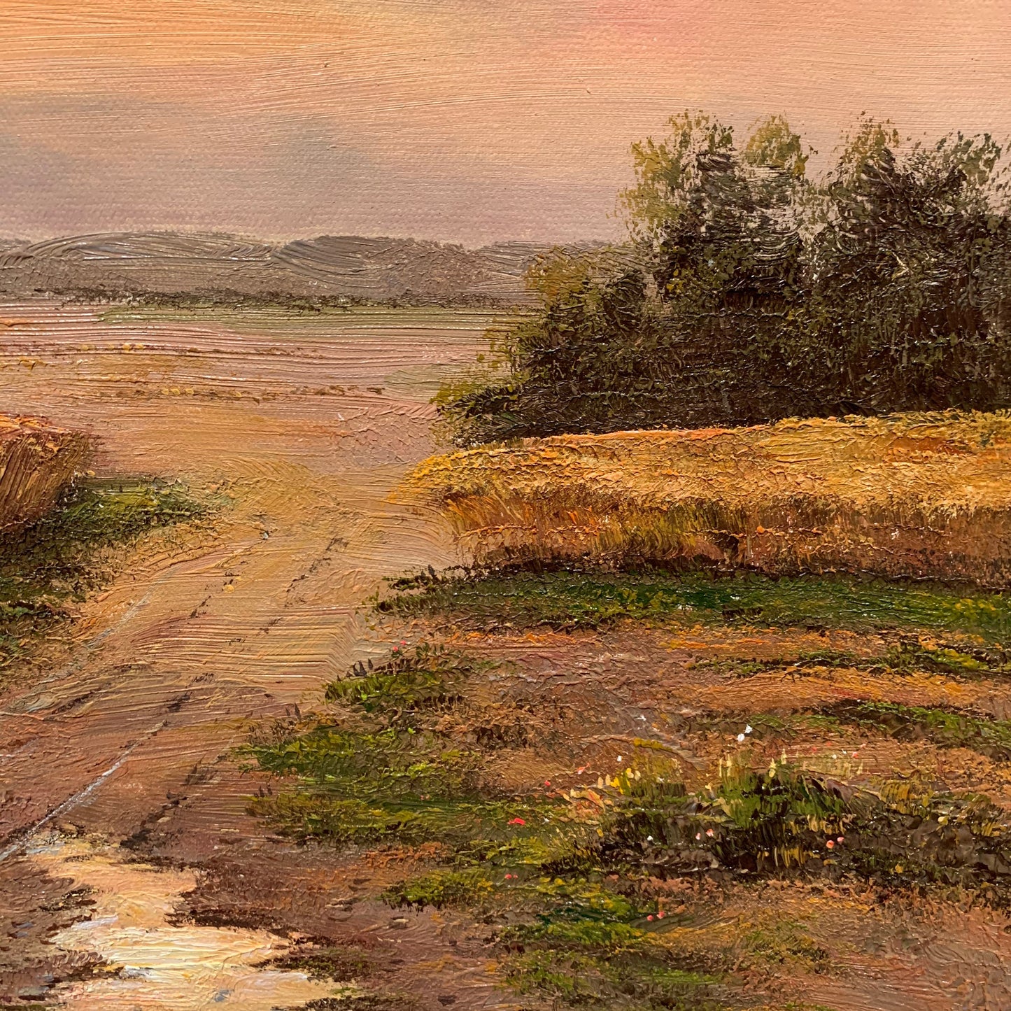 20 in×24 in oil paintings fine art 100% hand-painted The classical field