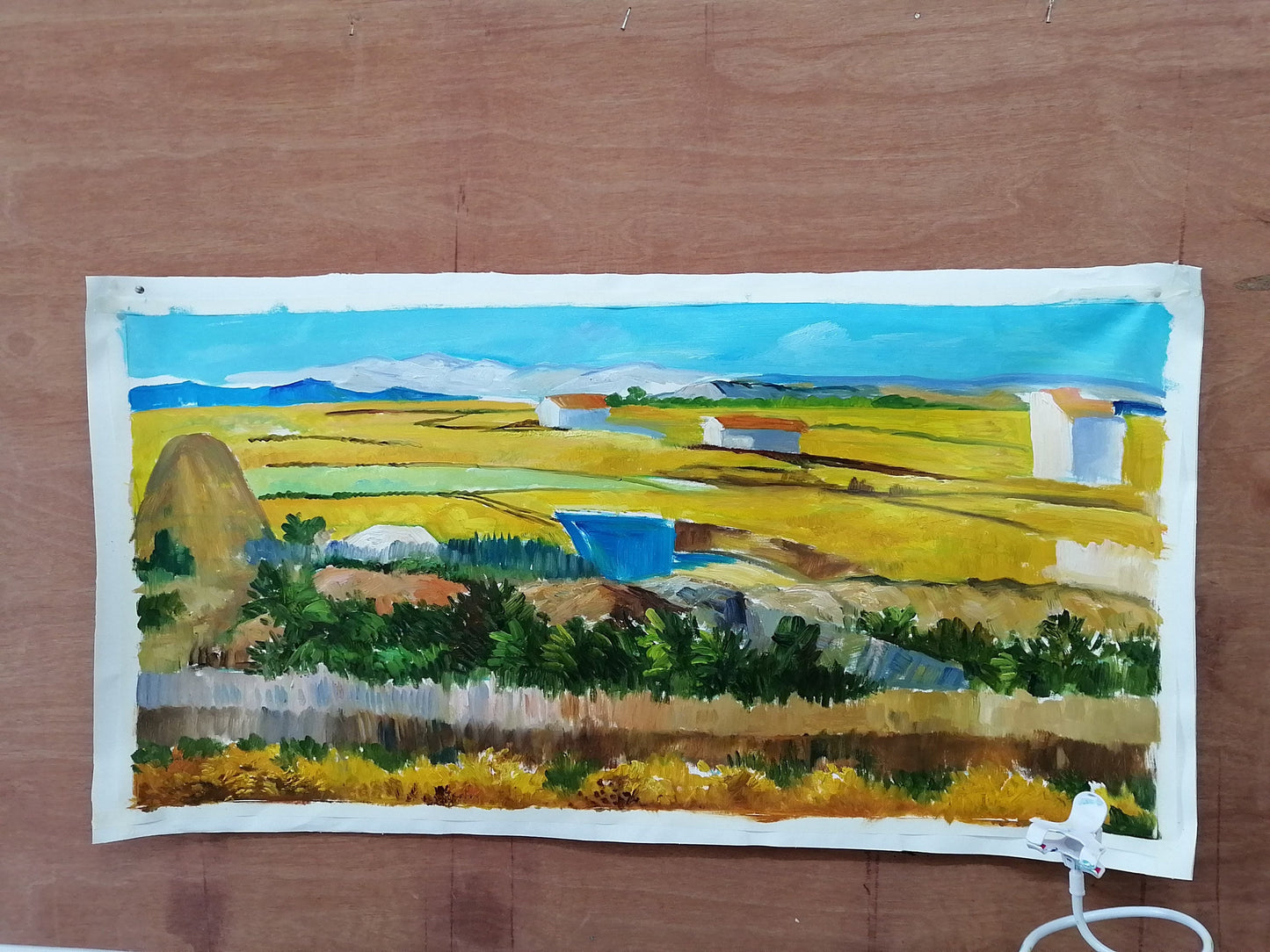 27.5x71 inch oil paintings fine art 100% hand-painted The classical field