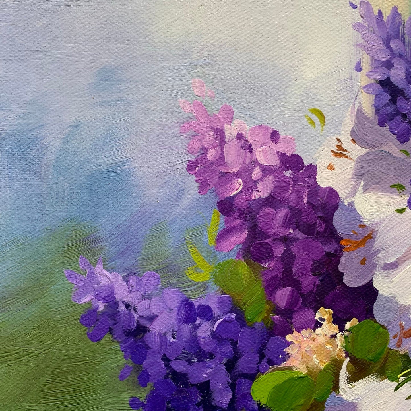 100% hand-painted 24 in×20 in oil paintings The classical field