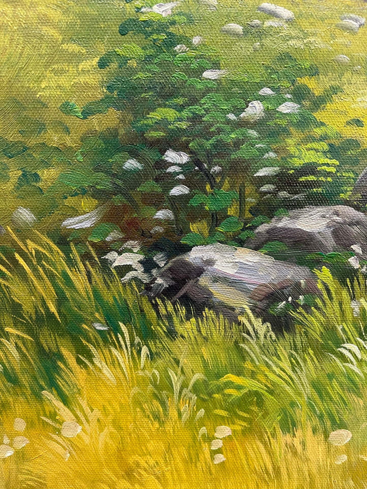 100% hand-painted Spring scenery 23.5x35.5 inch oil paintings The classical field
