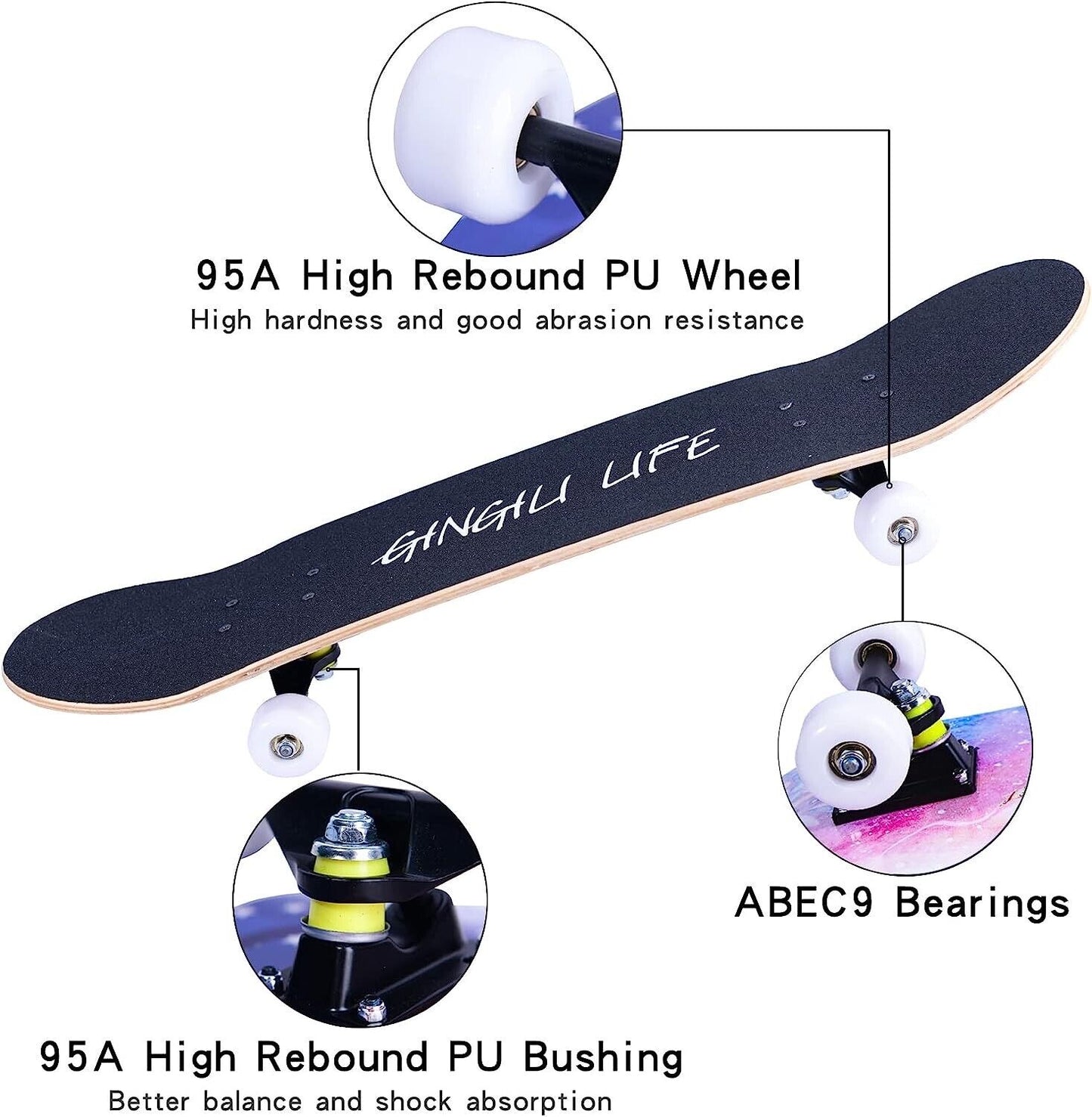 Complete Skateboard 31"x 8" for Kids Teens Adults, 7 Layer Maple Double Kick Dec