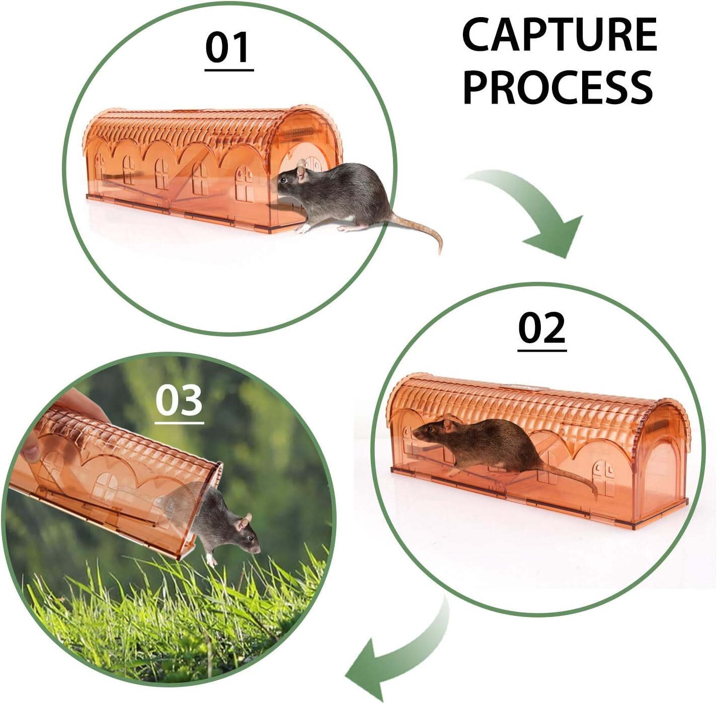 2pack mouse trap Large 10 Inch house mouse trap