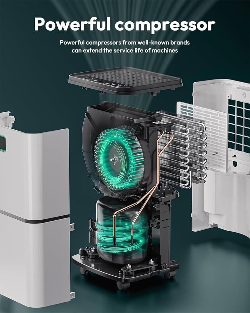 2000 Sq. Ft Dehumidifiers for Large Room and Basements, 30 Pints Dehumidifier with Drain Hose, Auto or Manual Drainage, 0.528 Gallon Water Tank, Auto Defrost, Dry Clothes Function, 24H Timer