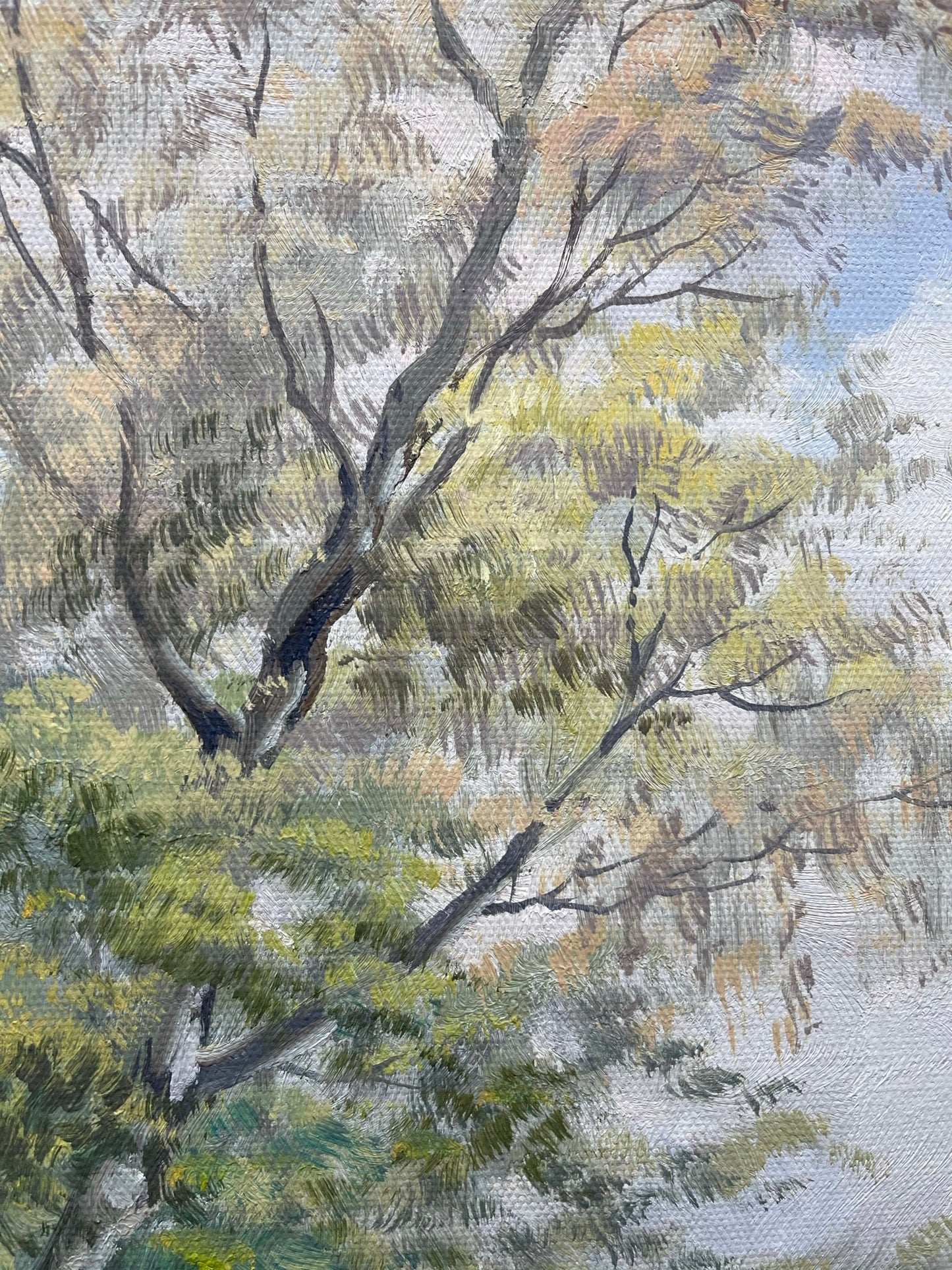 100% hand-painted Spring scenery 23.5x35.5 inch oil paintings The classical field
